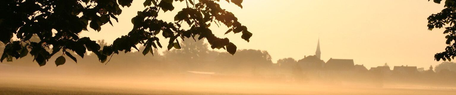 Thedinghausen im Nebel 